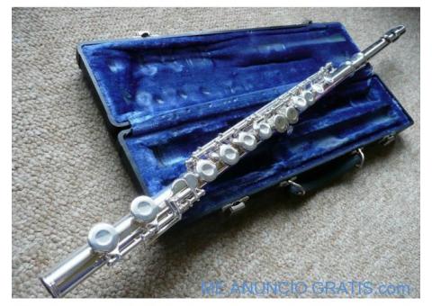 Flauta travesera por tan solo 199€.